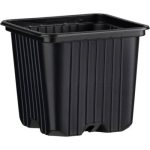   Desch Plantpak palántanevelő műanyag szögletes cserép 8*8*7 cm, fekete
